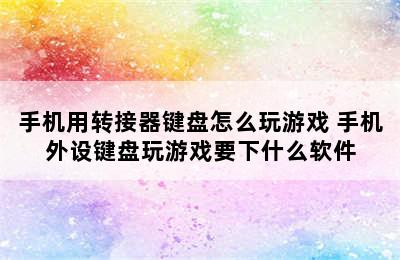 手机用转接器键盘怎么玩游戏 手机外设键盘玩游戏要下什么软件